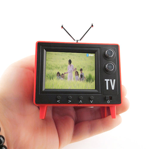 Zizz - De kleine tv die de show steelt